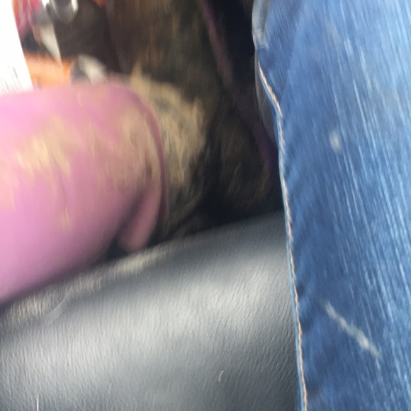 Meet your Posher, Emily - Picture 1 of 1